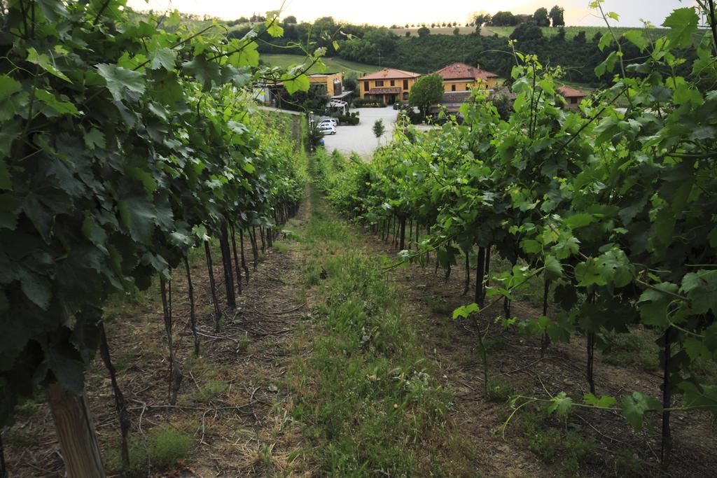 Agriturismo Gaggioli Borgo Delle Vigne Zola Predosa Bagian luar foto