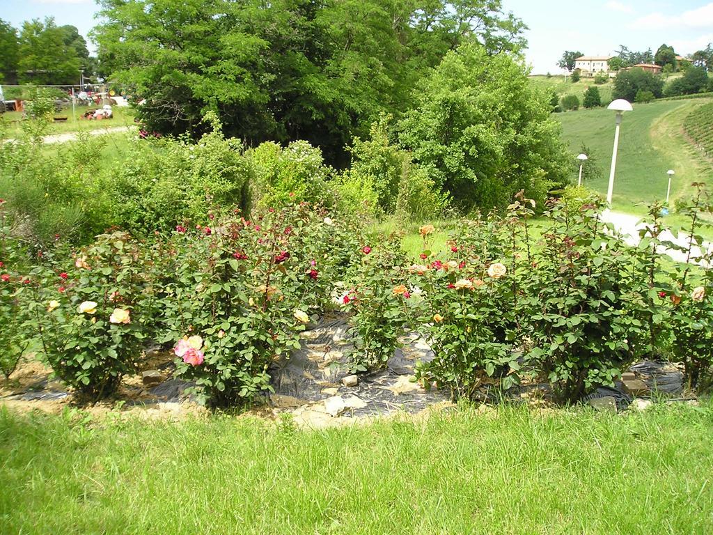 Agriturismo Gaggioli Borgo Delle Vigne Zola Predosa Bagian luar foto