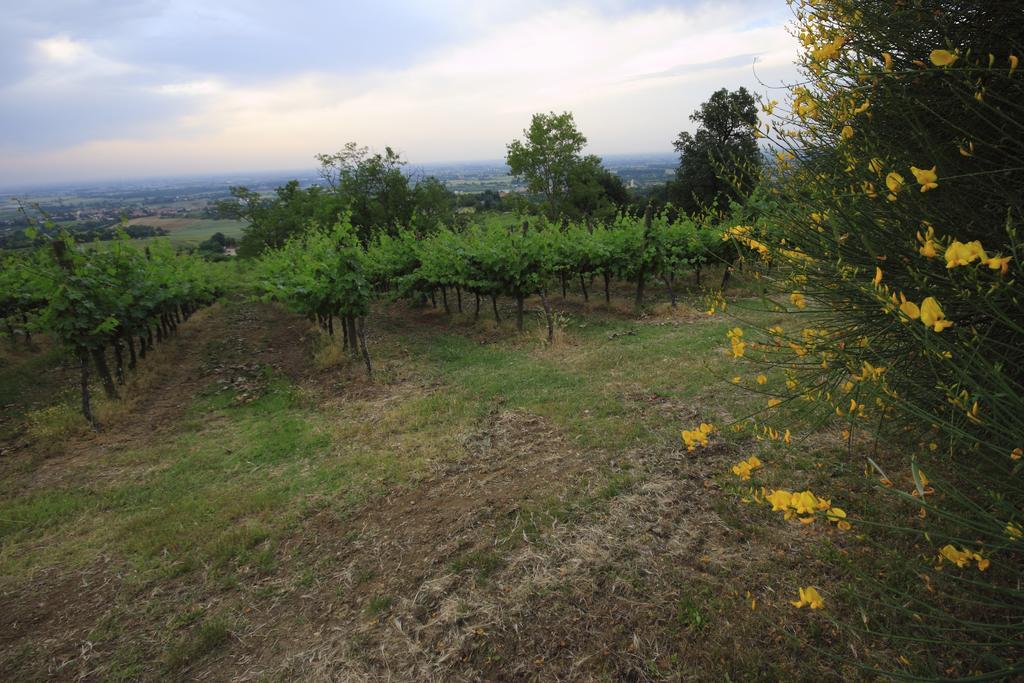 Agriturismo Gaggioli Borgo Delle Vigne Zola Predosa Bagian luar foto