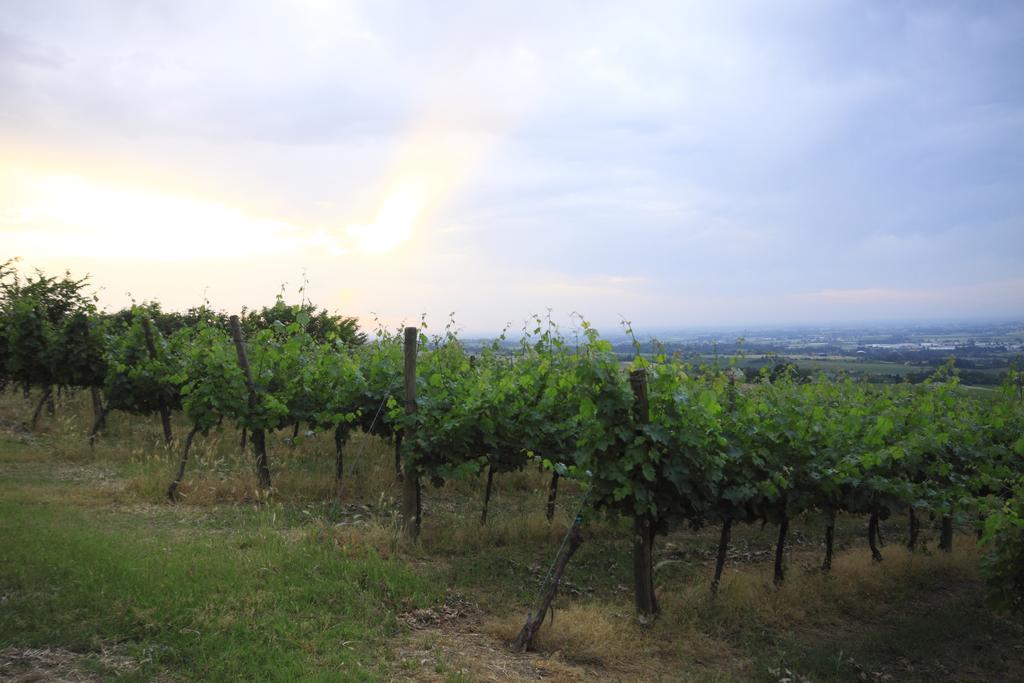 Agriturismo Gaggioli Borgo Delle Vigne Zola Predosa Bagian luar foto