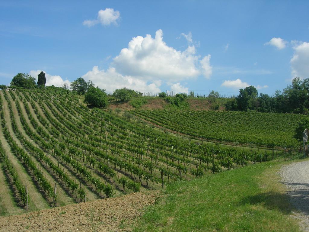 Agriturismo Gaggioli Borgo Delle Vigne Zola Predosa Bagian luar foto