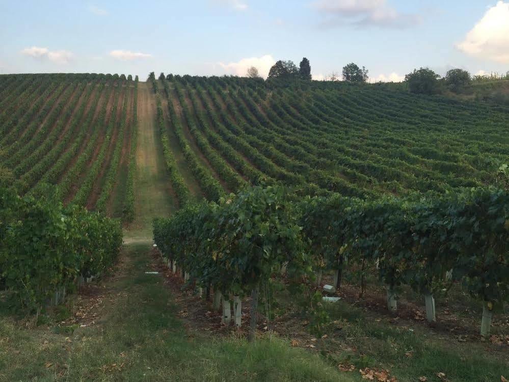 Agriturismo Gaggioli Borgo Delle Vigne Zola Predosa Bagian luar foto